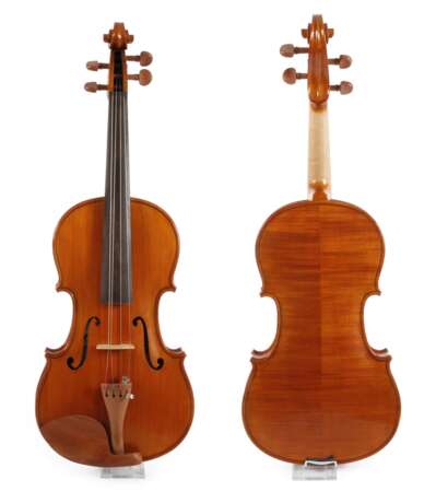 Violine - фото 1