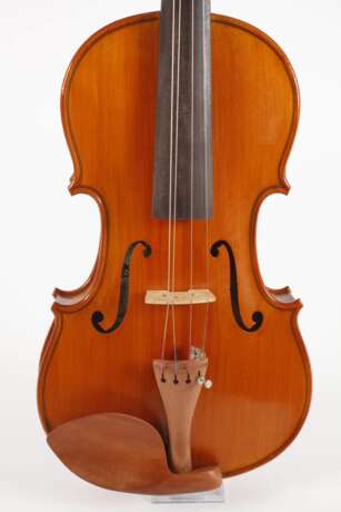 Violine - фото 2