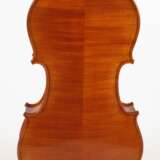 Violine - фото 3