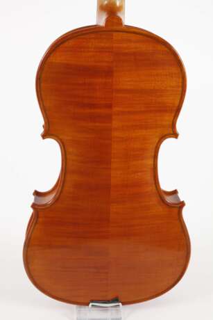 Violine - фото 3