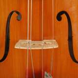 Violine - фото 5