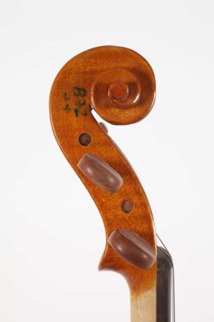Violine - фото 6