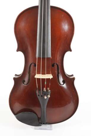 Violine - фото 2