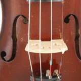 Violine - фото 5