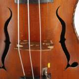 Violine - фото 5