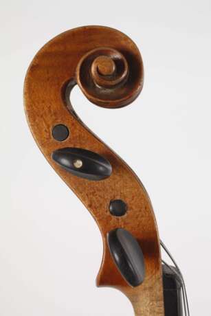Violine - фото 6