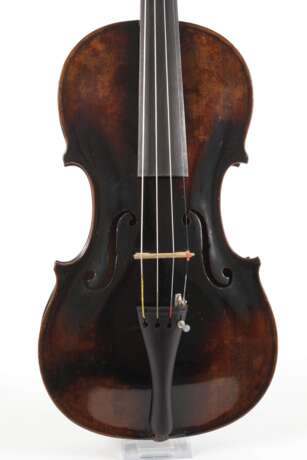 Violine - фото 2