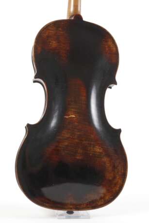 Violine - фото 3