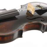 Violine - фото 4