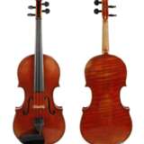 Violine Wilfer - photo 1