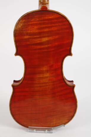 Violine Wilfer - photo 3