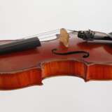 Violine Wilfer - photo 4
