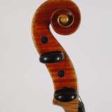 Violine Wilfer - photo 6