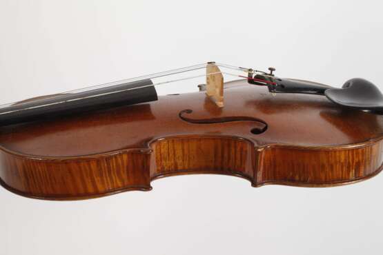 Violine Vavra - photo 4