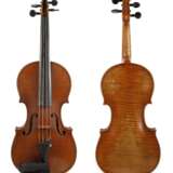 Violine Schimansky - Foto 1