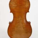 Violine Schimansky - Foto 3