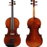 Violine Knorr - Foto 1