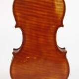 Violine Spidlen - Foto 3