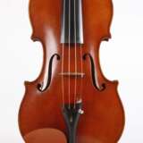 Meistergeige Franz Reber - фото 2