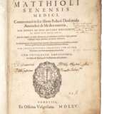 Petri Andreae Matthioli Senensis Medici 1565 - фото 1