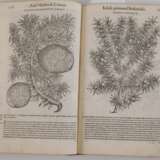 Petri Andreae Matthioli Senensis Medici 1565 - фото 3