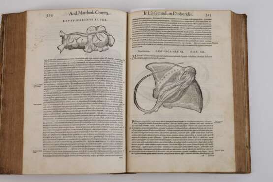 Petri Andreae Matthioli Senensis Medici 1565 - фото 5