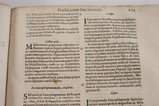 Herkulis Saxoniae Opera Practica 1639 - photo 4