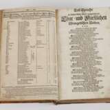 Dilherr/EndterKurfürstenbibel 1720 - фото 4
