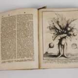 Augustin Calmets Biblisches Wörterbuch - фото 6