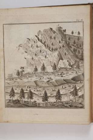 Geogenie 1780 - Foto 6 Geogenie 1780 - Foto 6