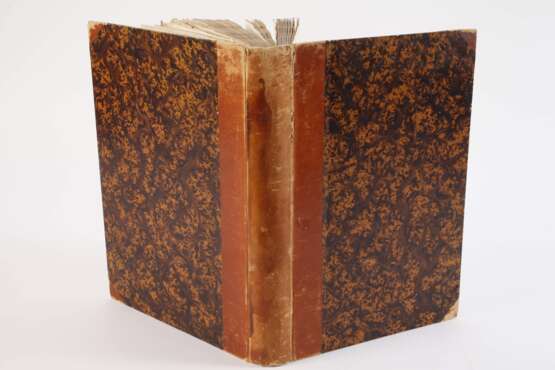 Erfahrungen vom Innern der Gebirge - Foto 9 Erfahrungen vom Innern der Gebirge - Foto 9