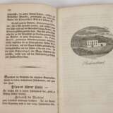 Urkundliche Geschichte des gesamten Vogtlandes - Foto 4