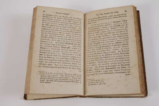 Geschichte des Obstes der Alten 1812 - фото 3