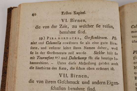 Geschichte des Obstes der Alten 1812 - фото 4