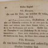 Geschichte des Obstes der Alten 1812 - фото 4