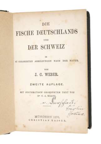 Die Fische Deutschlands und der Schweiz - фото 1