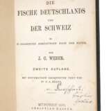 Die Fische Deutschlands und der Schweiz - фото 1