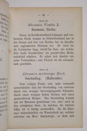 Die Fische Deutschlands und der Schweiz - фото 3
