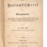 Die Perlenfischerei im Voigtlande 1854 - фото 1
