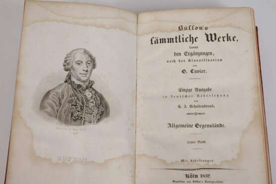 Büffon's sämmtliche Werke 1837 - Foto 2