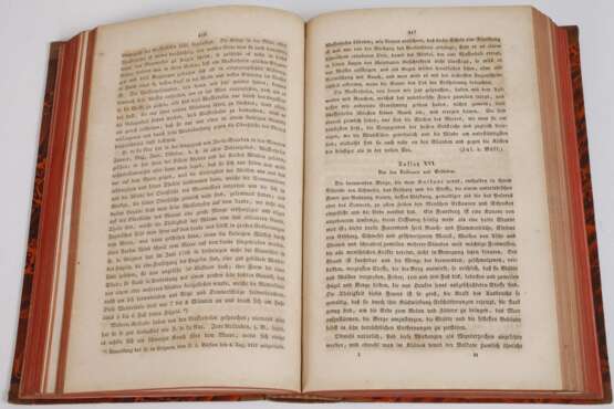 Büffon's sämmtliche Werke 1837 - Foto 3