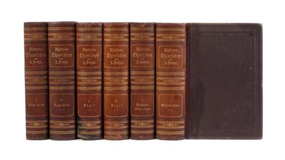 llustrirtes Thierleben 1864 - Foto 1