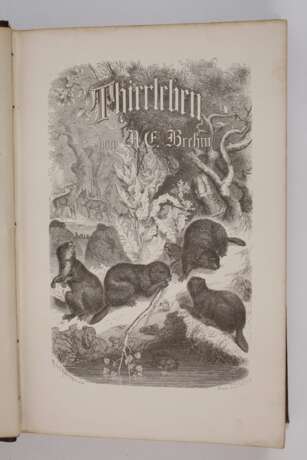 llustrirtes Thierleben 1864 - Foto 2