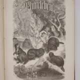 llustrirtes Thierleben 1864 - Foto 2