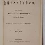 llustrirtes Thierleben 1864 - Foto 3