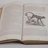 llustrirtes Thierleben 1864 - Foto 4