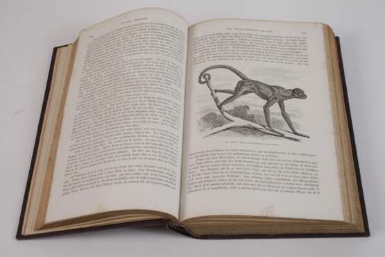 llustrirtes Thierleben 1864 - Foto 4