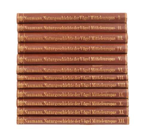Naumann, Naturgeschichte der Vögel Mitteleuropas - Foto 3