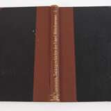 Naumann, Naturgeschichte der Vögel Mitteleuropas - Foto 4