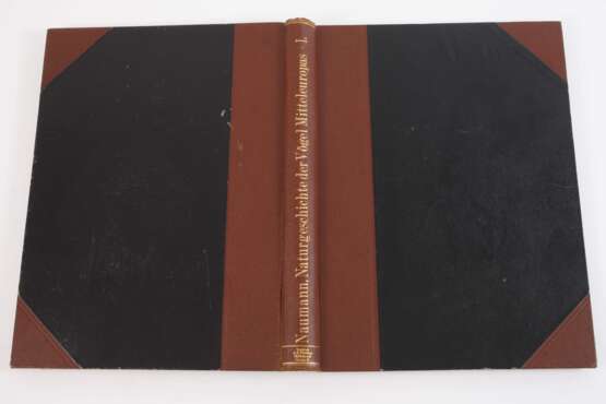 Naumann, Naturgeschichte der Vögel Mitteleuropas - Foto 4